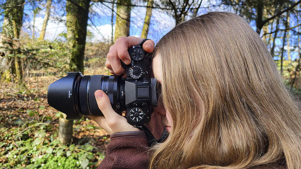 Junge Frau fotografiert mit einer Kamera im sonnigen Wald.