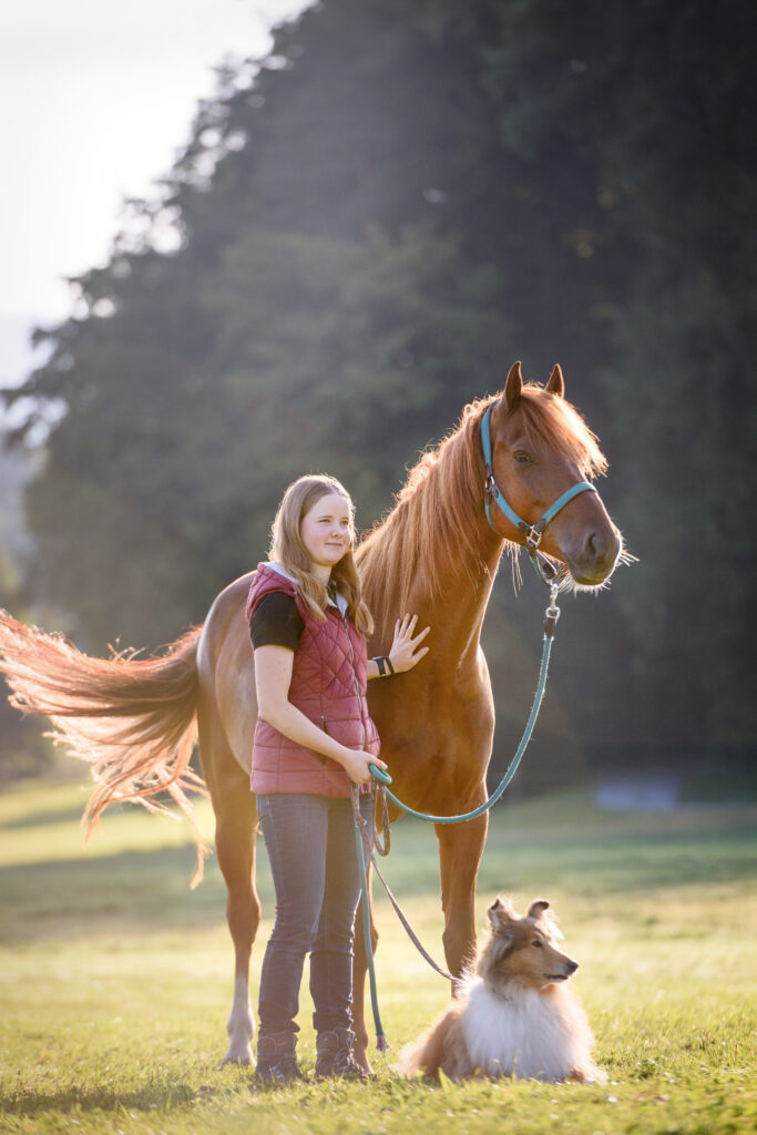 Frau neben Pferd, Collie Hund liegt davor im Morgenlicht.
